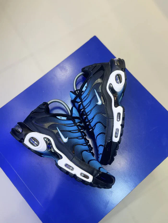 Nike Air Max TN Plus